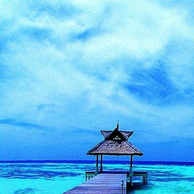 麻将胡了appapp下载截图