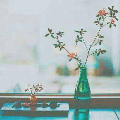 今期澳门三肖三码开一码手机app下载