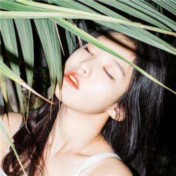 电玩舞会森林手机app下载